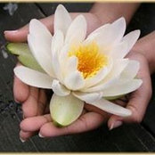 Beatrice Bartolini's photo