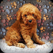 Christia McLeod's photo