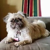 Colleen Wehr's photo