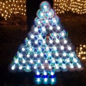 Rebecca Phillips's photo