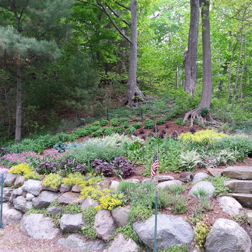 Duneside Shade Garden