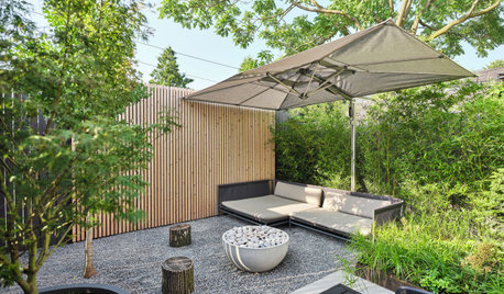 Yard of the Week: City Garden With a Calm, Private Feel