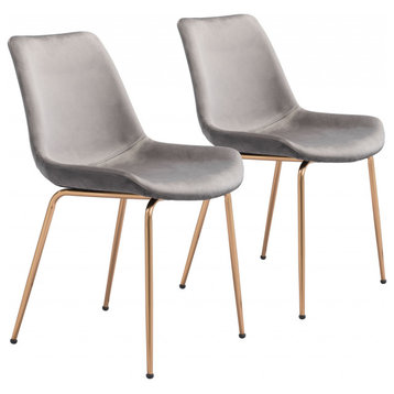 Tony Dining Chair, Set of 2 Gray and Gold