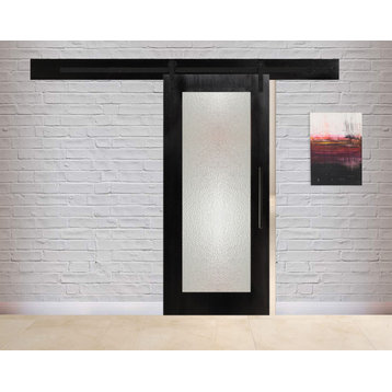 1 Lite Glass Panel Barn Door with Structured Glass Insert, 48"x84" Inches, Hammered Glass, Carbon Steel Hardware