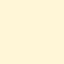 Tallow No.203 - Paint