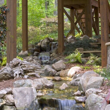 Ponds