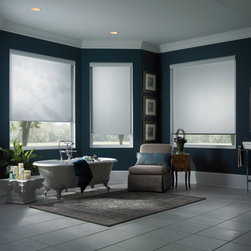 Roller Shade Project - Roller Shades