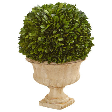 12" Boxwood Topiary Ball Preserved Plant, Decorative Urn