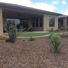 desert front