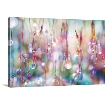 Rainbow Rain Catcher Wrapped Canvas Art Print, 18"x12"x1.5"