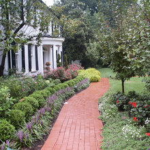 ELC Backyard