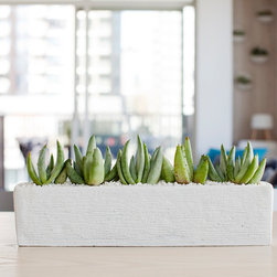 Yaletown Renovation | 2015 - Products