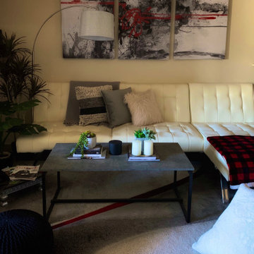 Project 1 : Studio Apartment ( Bold Bachelor Pad )