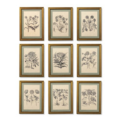 New York Botanica Garden Merian Botanicals - Poster