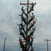 Foto von Dwayne Meadows