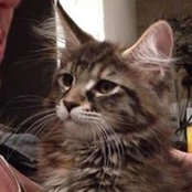 Simone Bodart's photo
