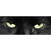 Kivah Hansen's photo