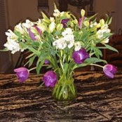 Tracy Garvin's photo