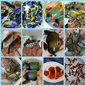 Jennifer Shears's photo