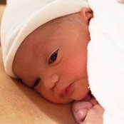 Rachel Sarikie's photo