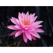 Colleen Mooney's photo