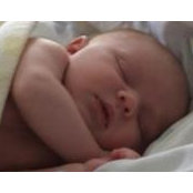 Sarah Onderdonk Watts's photo