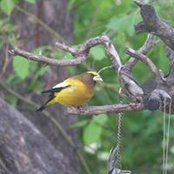Maggie Ryan's photo