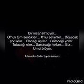 Foto von Yesim Ercetin