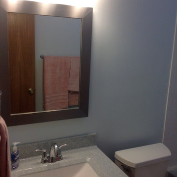 Walls Family Guest Bath Remodel