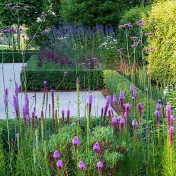 Pip's Place - a large country garden in Buckinghamshire