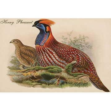 Horny Pheasant - Paper Poster 12" x 18"
