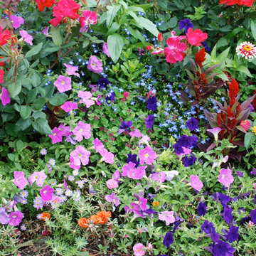 Annuals & Perennials
