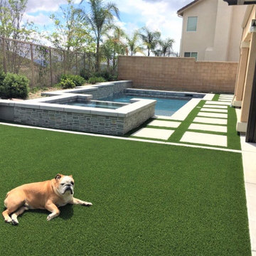Pet Areas