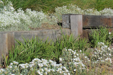 Photo of a small contemporary xeriscape for spring in Canberra - Queanbeyan with mulch.