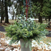Holiday containers