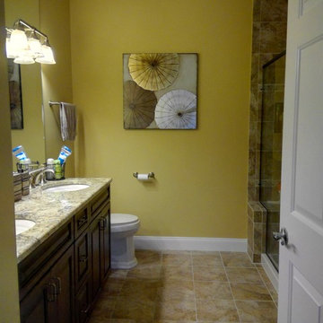 Paint Consultation Colors