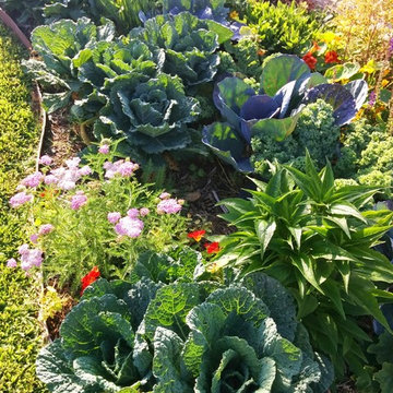 Lovely Edible Gardens