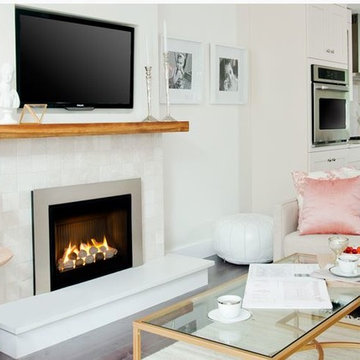 Contemporary Fireplace Inserts
