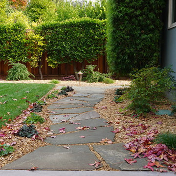 San Jose Ranch Renovation