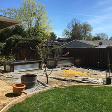 Raised Vegetable Garden