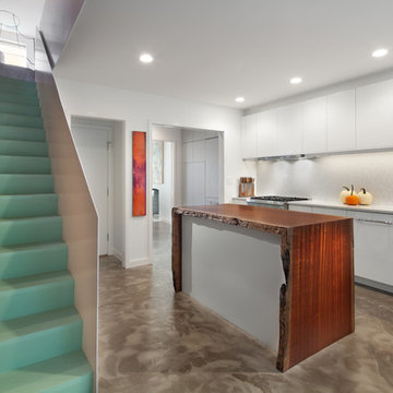 Dupont Circle Home Full House Remodel