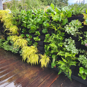 Vertical Garden Wall