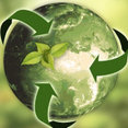 Recycle your Waste London's profile photo