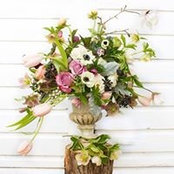Mary Stevens's photo