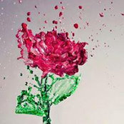 Foto von Israa Ashraf