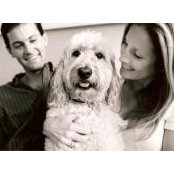 Jordan Brown's photo