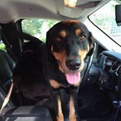 Foto von Webb Wartelle