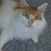 Susan Arthurs's photo