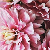 Emma Eagles's photo