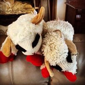 Colleen Huston's photo